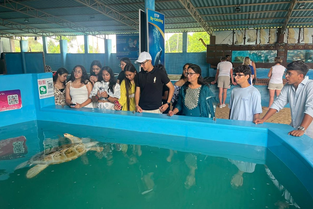 Career-Exploration-Program-2025-–-Learning-Through-Real-World-Experiences-08.webp